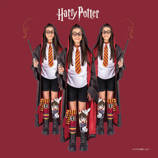 MADMIA Harry Potter Socks.